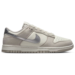 Nike Dunk Low Silver Swoosh 