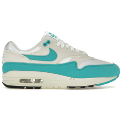 Nike Air Max 1 Dusty Cactus