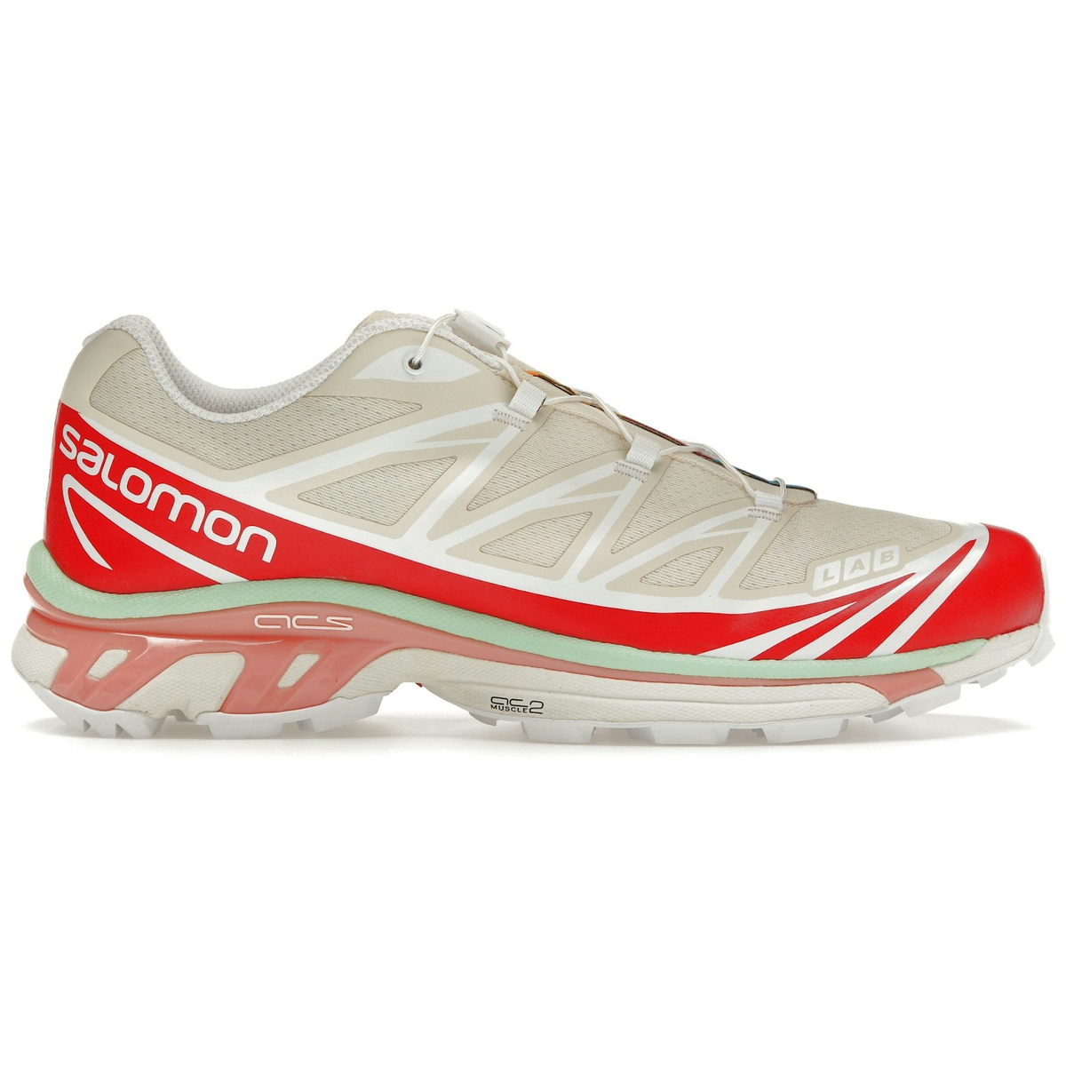 Salomon XT 6 Gore Tex Roasted Clay
